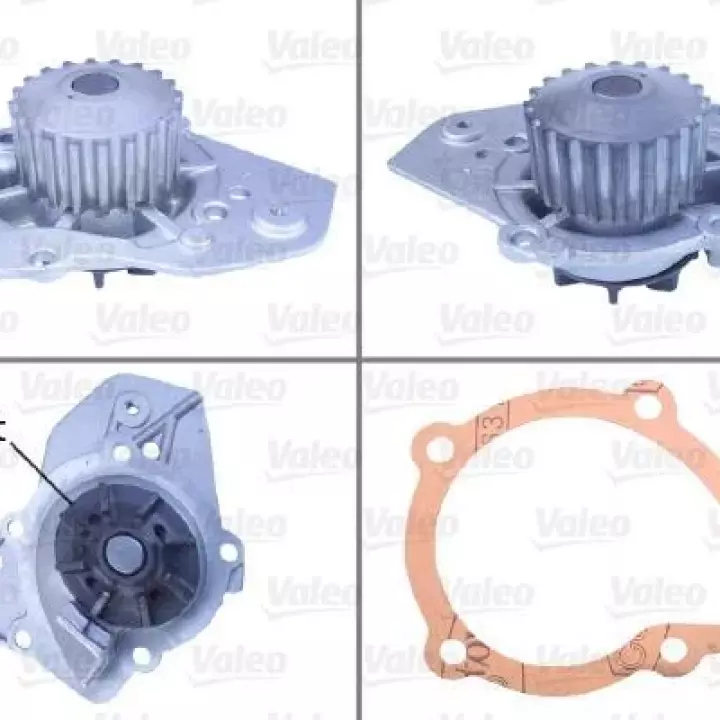 Pompe à eau  205 - 305 - 309 - 405