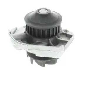 Pompe à eau PANDA 169 2Q 1.1 03-09
