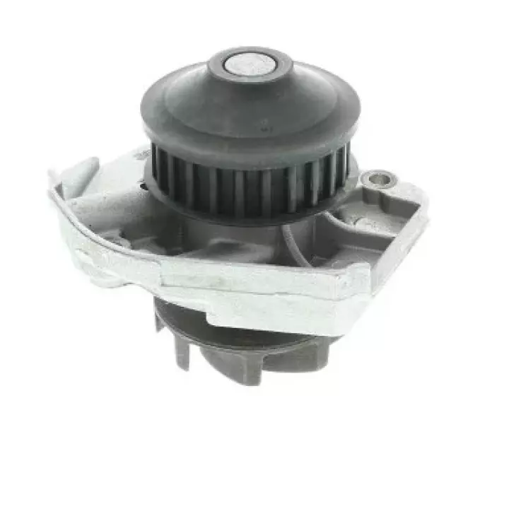 Pompe à eau PANDA 169 2Q 1.1 03-09