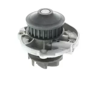 Pompe à eau PANDA 169 2Q 1.1 03-09