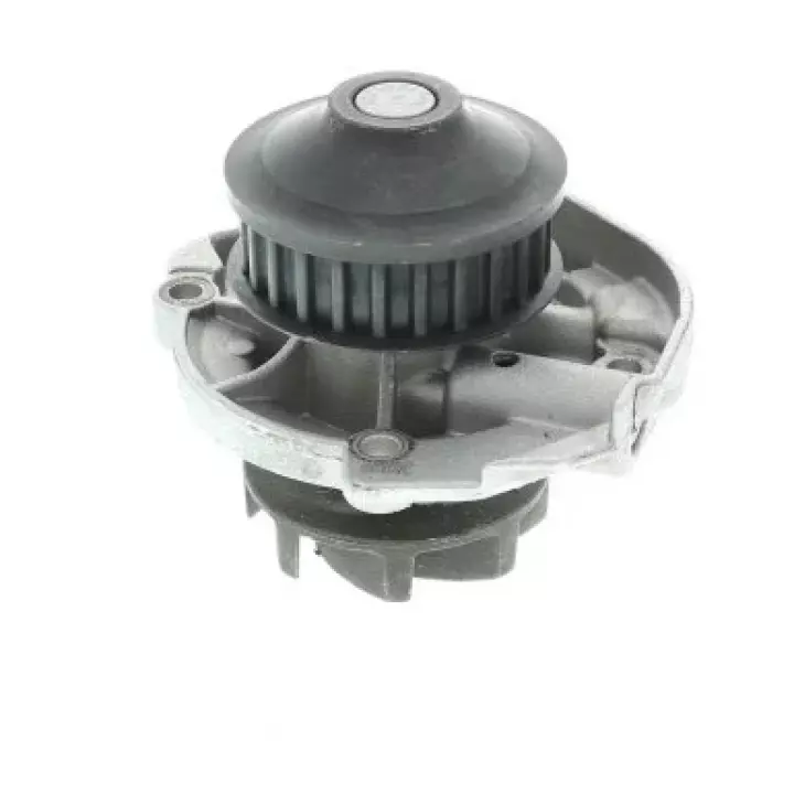 Pompe à eau PANDA 169 2Q 1.1 03-09