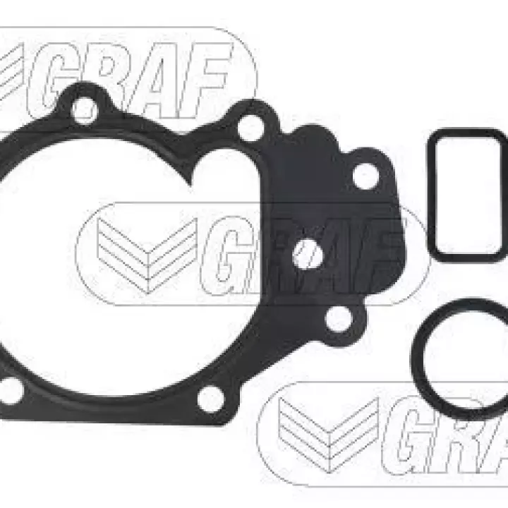 Pompe à eau - CLIO ESS NM 98-05