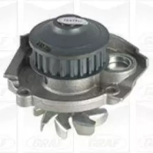 Pompe à eau PANDA 169 2Q 1.1 03-09