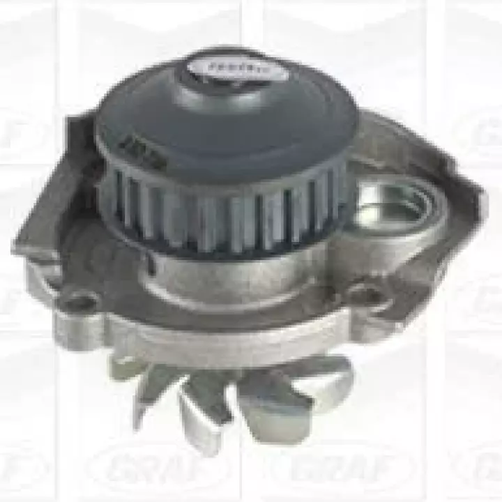 Pompe à eau PANDA 169 2Q 1.1 03-09