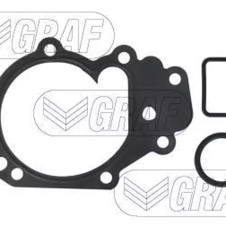Pompe à eau - CLIO 2-3-4 KANGOO TWINGO 1-2 LOGAN SANDERO