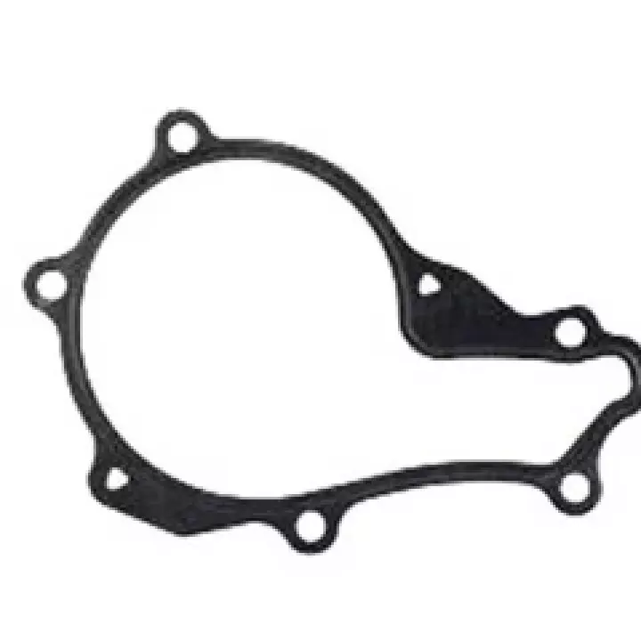 Pompe à eau - BERLINGO B9 1.6HDI 08